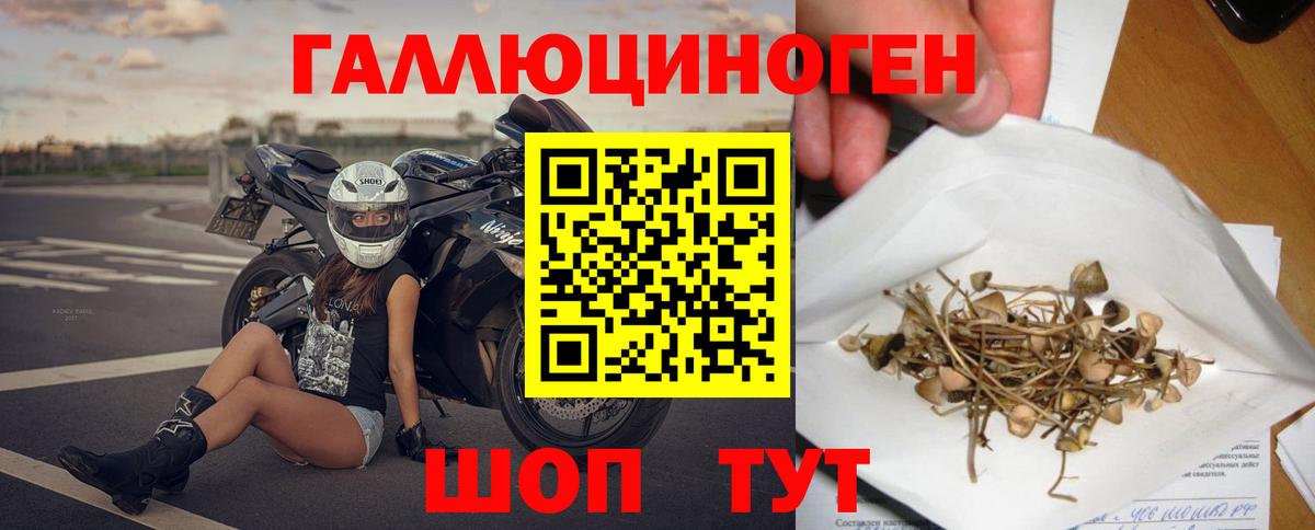 Галлюциногенные грибы Psilocybe  Вход с VPN  Железногорск 